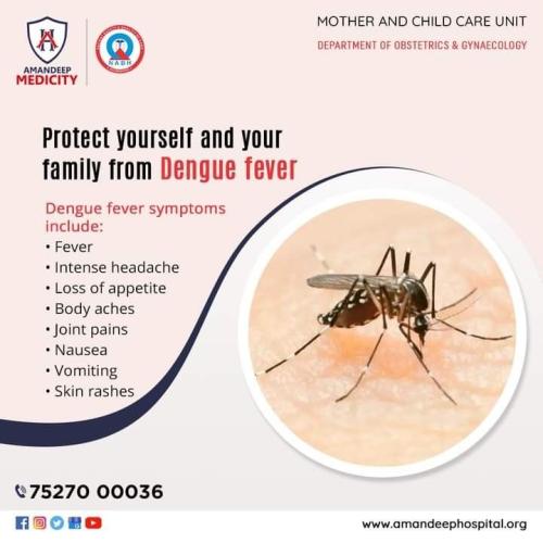 Protect yourself and your family from Dengue Fever