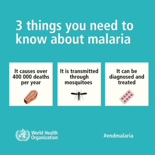 3 things you need to know about malaria