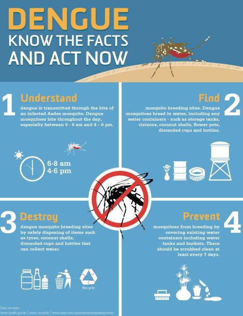 Dengue - Know the Facts and Act Now