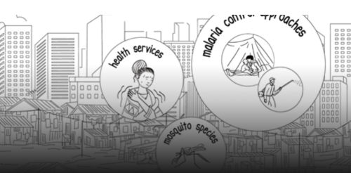 Malaria response in urban areas