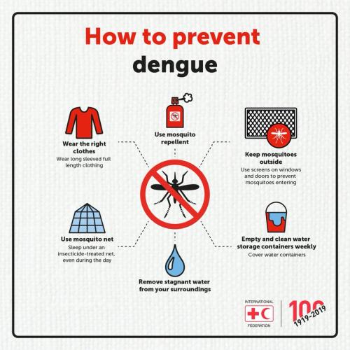 How to Prevent Dengue