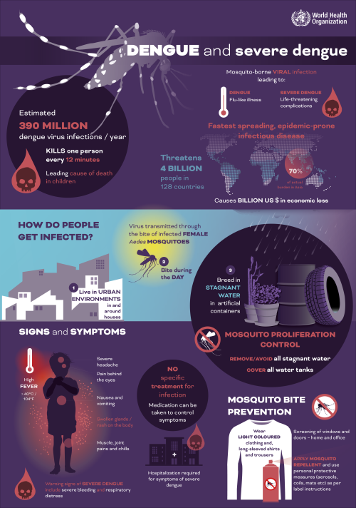Dengue and Severe Dengue