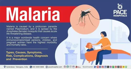 Malaria Symptoms & Causes