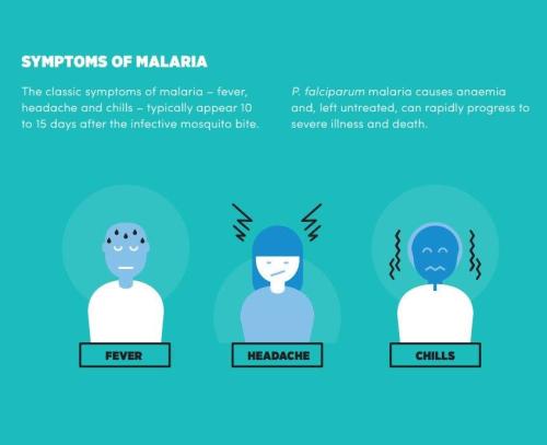 Symptoms of Malaria