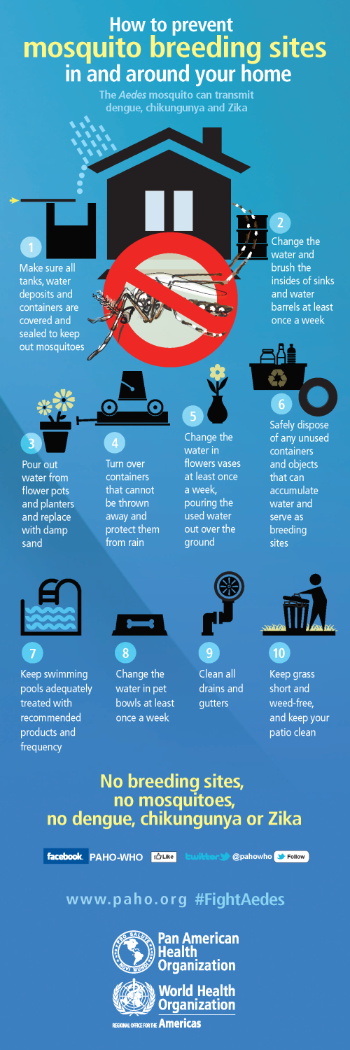 Dengue Prevention and Precaution
